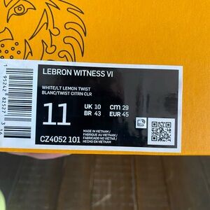 Nike LeBron Witness VI